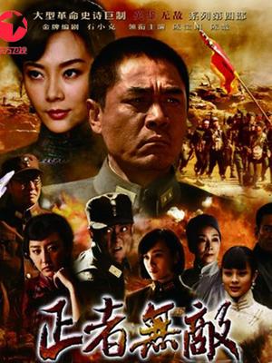 无码中文字幕公公系列